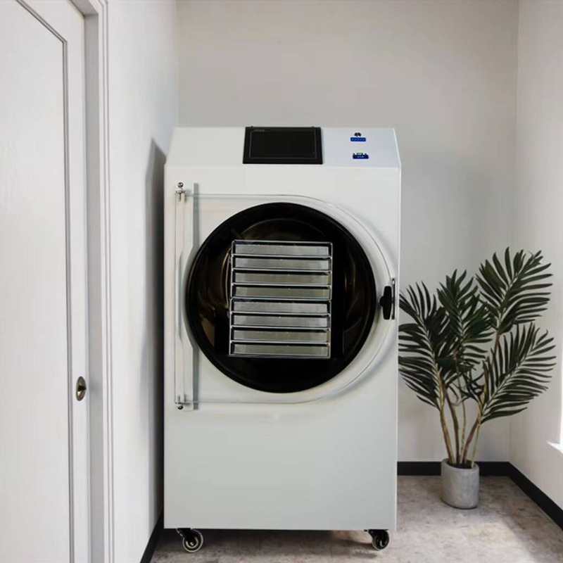 Dried Fruit - Máquina de secagem automática controlada por