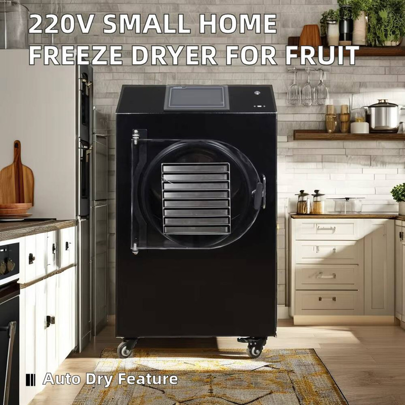 Máquina de secagem automática  - Dried Fruit avaliação e preço